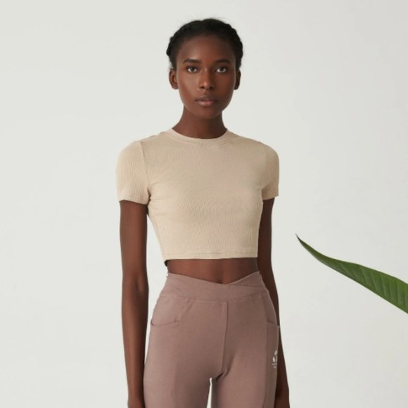 SHEIN Premium Khaki Ribbed Knit Crop Top Small(4) - Picture 3 of 12